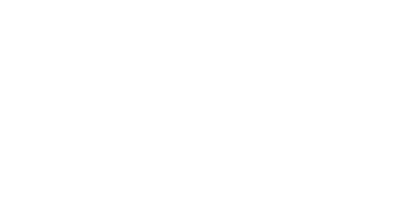 Stand for Sonic Diversity