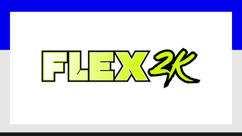 Channel -Flex 2k Logo
